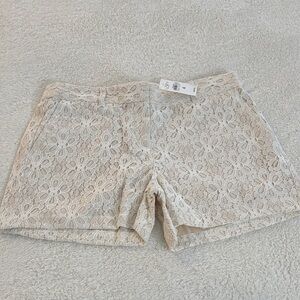 LOFT High Waist Floral Lace Shorts in Beige